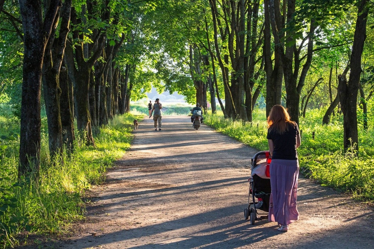 Семейный парк на Бору благоустроят за 95 млн рублей